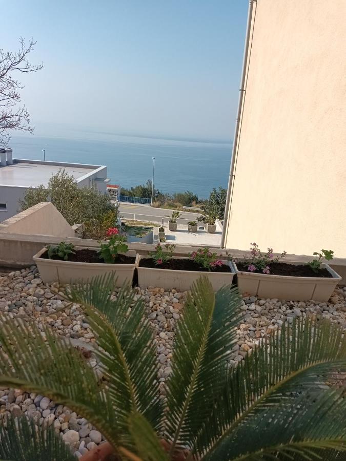 Apartmani Nika Dubrovnik Exterior foto